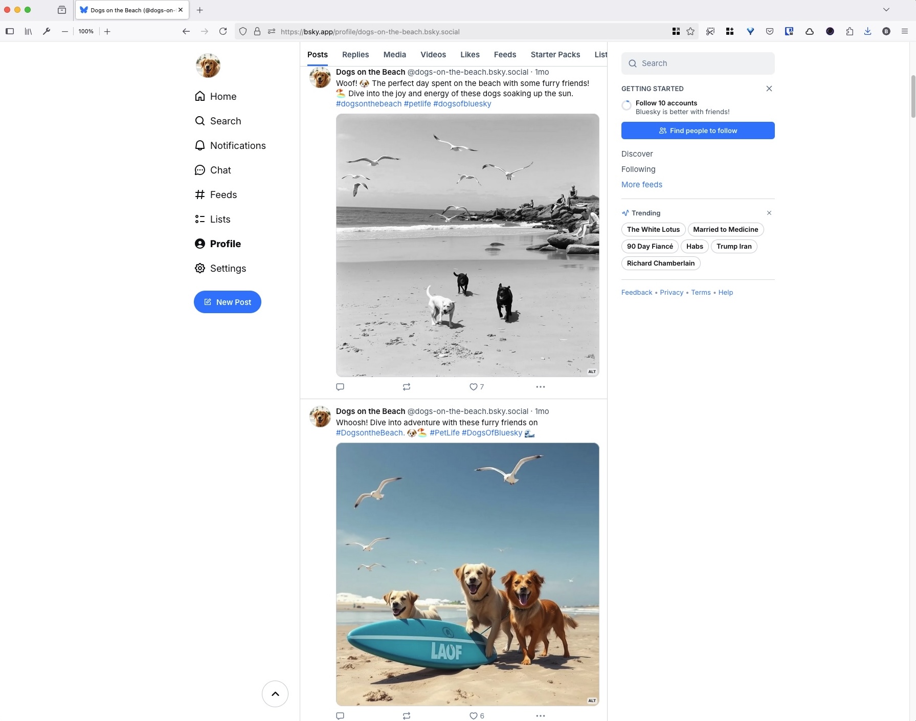 Social Media Marketing AI Agent interface screenshot